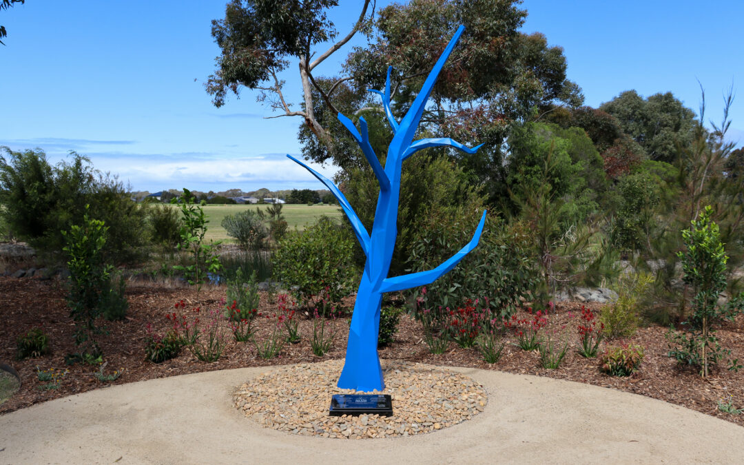 Blue Tree at Geelong Memorial Park
